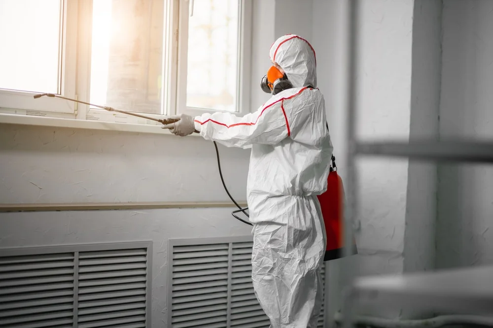 Professional mold remediation services in Hudson, NH